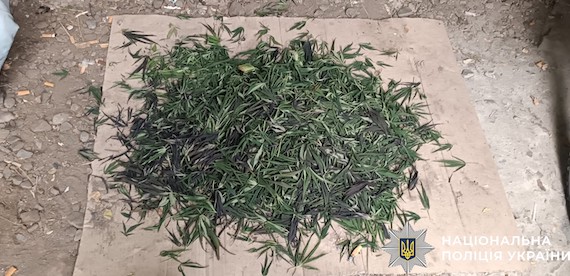 Фото новости: У Баштанському районі поліцейські викрили місцевого мешканця на незаконному зберіганні боєприпасів, набоїв та канабісу Свежие новости: У Баштанському районі поліцейські викрили місцевого мешканця на незаконному зберіганні боєприпасів, набоїв та канабісу