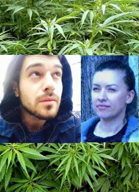 Свежие новости: Наркодрузі по розрахунку або як уникнути покарання