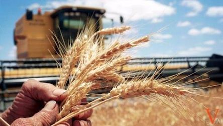 Свежие новости: У Миколаєві презентують Державний реєстр для аграріїв