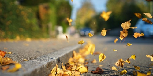 Свежие новости: Погода в Николаеве: солнечно и ветер