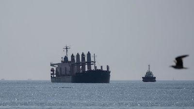 Свежие новости: Як «зернова угода» може працювати без росії: пояснення