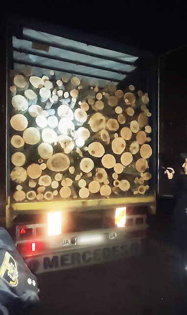 Свежие новости: В Вознесенском районе полиция выявила тягач с полным полуприцепом незаконно спиленных ясеней и дубов