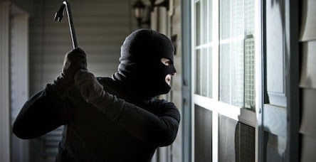 Свежие новости: 