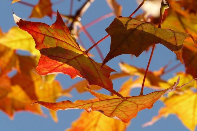 Свежие новости: В Україну йде потепління