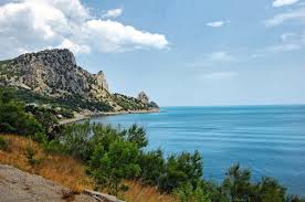 Свежие новости: Возле Ялты оккупанты строят «дачу Путину»