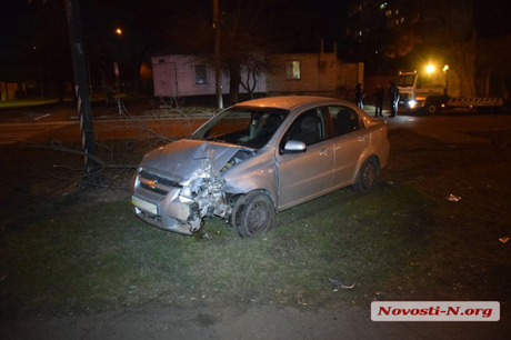 Свежие новости: В Николаеве пьяный водитель свалил два дерева