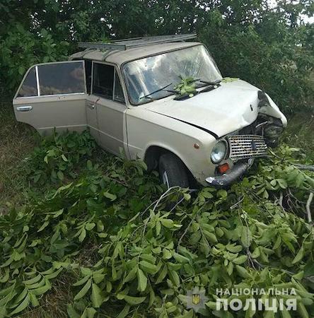 Свежие новости: ДТП в Арбузинском районе: травмированы водитель и четверо пассажиров