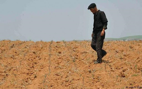 Свежие новости: Северная Корея просит ООН помочь с продовольствием