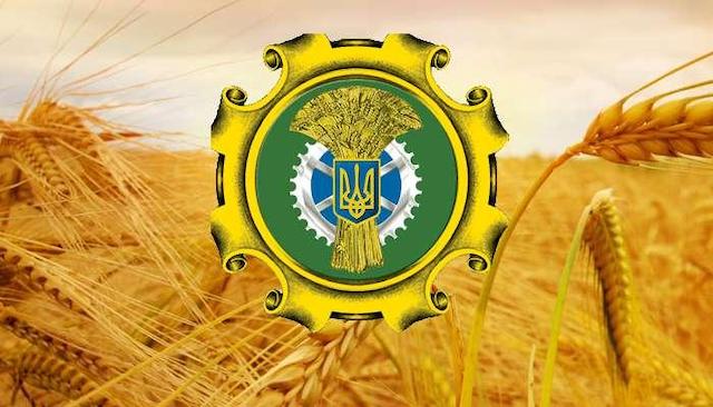 Свежие новости: Мінагрополітики про інцидент з росипаним українським зерном на кордоні