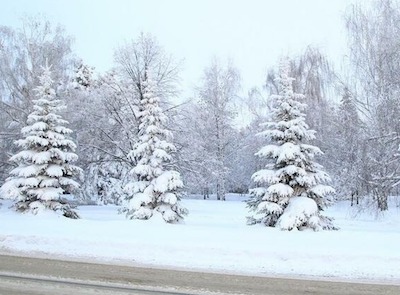 Свежие новости: В Одессе объявлено штормовое предупреждение