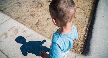 Свежие новости: 