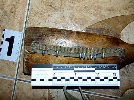 Свежие новости: «Нашел в лесопосадке»: на Николаевщине суд дал условный сроку депутату райсовета за хранение незарегистрированной винтовки