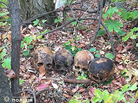 Свежие новости: Полиция задержала николаевца, который откапывал человеческие черепа: один оставил на Садовой, второй принес бывшей девушке