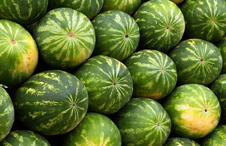 Свежие новости: «Нибулон» доставил первую партию херсонских арбузов в Киев