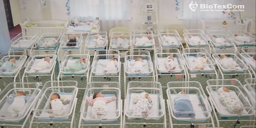 Свежие новости: В Украине разгорается скандал: 46 младенцев, рожденных для иностранцев методом суррогатного материнства, находятся в одном из отелей Киева