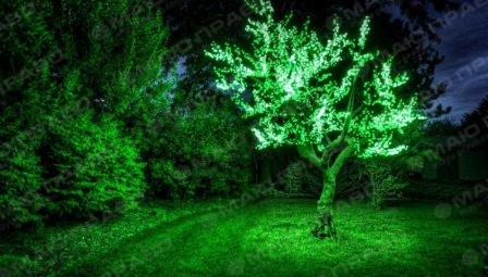 Свежие новости: Пенсионер из Николаева стал героем теленовостей