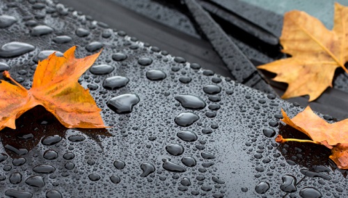 Свежие новости: На выходных на Николаевщине ожидают похолодание – ночью температура может опуститься до минус 9