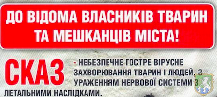 Свежие новости: Ситуація щодо захворюваності тварин на сказ в Миколаївської області оцінюється як небезпечна