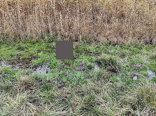 Свежие новости: В Доманевском районе спасатели достали из камыша возле реки тело мужчины