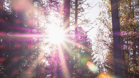 Свежие новости: Синоптик рассказала, какой будет погода в воскресенье