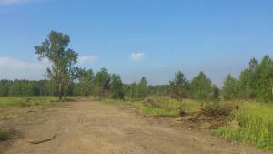 Свежие новости: В Николаевской области на поле найдены останки человеческого тела