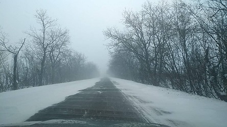 Свежие новости: На дорогах области сняли ограничения для проезда грузовиков и автобусов