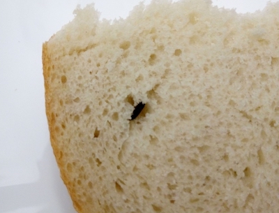 Свежие новости: В Николаеве горожане купили хлеб с 