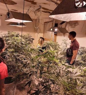 Свежие новости: В Вознесенске полиция изъяла у мужчины каннабис и кусты конопли