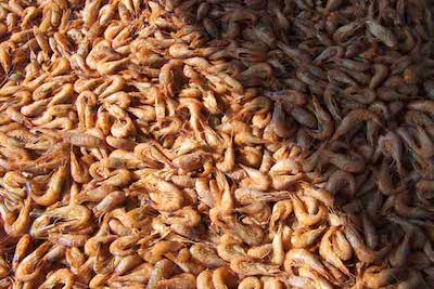 Свежие новости: На Николаевщине задержали браконьера за вылов креветок