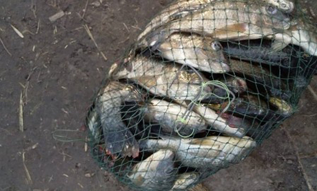 Свежие новости: Более 20 тысяч гривен ущерба нанесли браконьеры на прошлой неделе