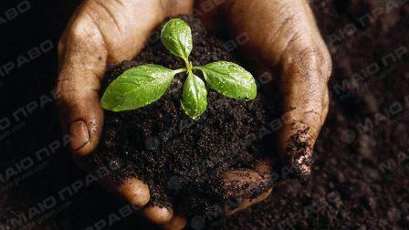 Свежие новости: Счета аграриев для уплаты НДС будут разблокированы