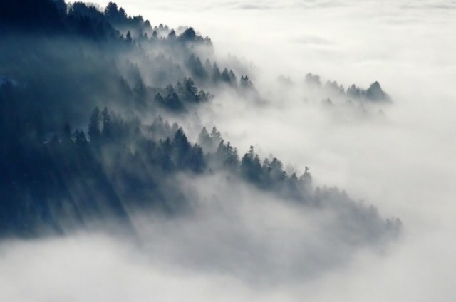 Свежие новости: В Украине прогнозируют погоду без осадков, но с туманами