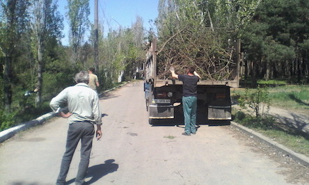 Свежие новости: В Николаеве привели в порядок парк 