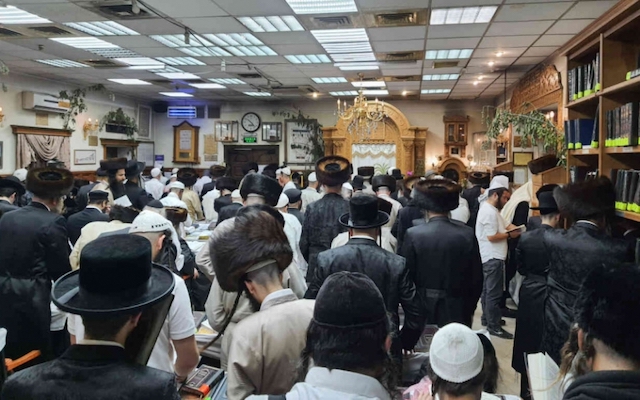 Свежие новости: Понад 3000 єврейських паломників приїхали до Умані на Шавуот