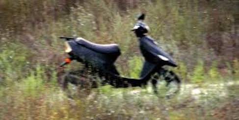 Свежие новости: Заарештовано 44-річного любителя мопедів з Кривоозерщини