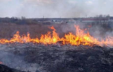 Свежие новости: В Чернобыльской зоне масштабный пожар: горят десятки зданий