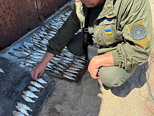 Свежие новости: На Миколаївщині під час нерестової заборони викрито незаконний вилов риби на понад 700 тисяч гривень