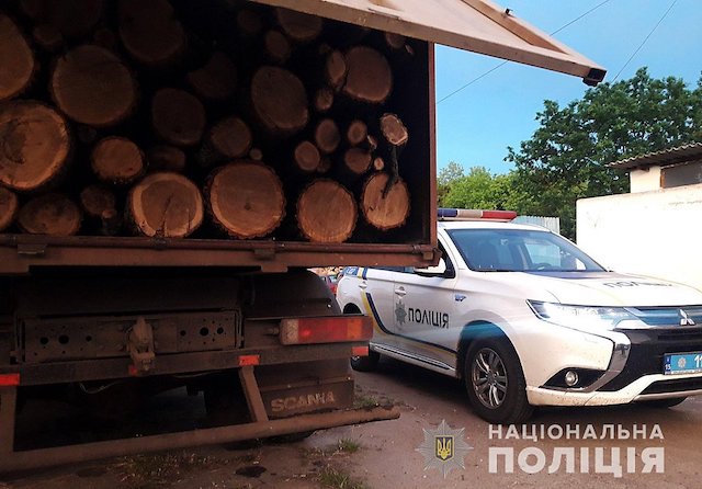 Свежие новости: В Вознесенском районе полиция задержала ЗИЛ с распиленными дубами, на которые не было документов