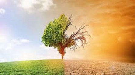 Свежие новости: В среду в Украине будет холодно и ветрено, потепление придет только с четверга - синоптик