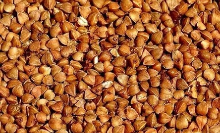 Свежие новости: В Україні у вересні рекордно подорожчала гречка