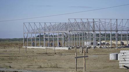 Свежие новости: Паромная переправа соединит Одесскую область с Румынией в мае 2018 года