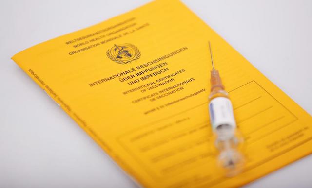 Свежие новости: В Украине введут «зеленый» и «желтый» COVID-сертификаты