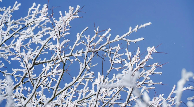 Свежие новости: В Україні збережеться морозна погода