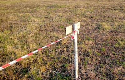 Свежие новости: Наибольшее количество фактов самозахвата земель выявлено в Вознесенском и Баштанском районах