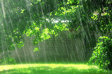 Свежие новости: 7 июня в Украине пройдут дожди с грозами