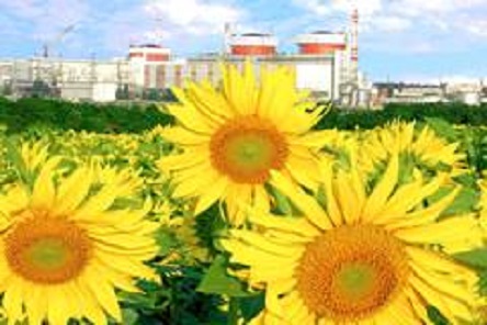 Свежие новости: Экологическая обстановка в зоне расположения ЮУАЭС