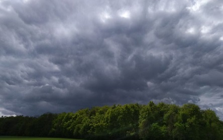 Свежие новости: Дожди сместятся на восток: прогноз погоды на завтра