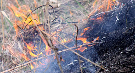 Свежие новости: На Николаевщине мужчина выжигал сухую траву возле своего дома, но результатом стали сгоревшие автомобиль и хозпостройка