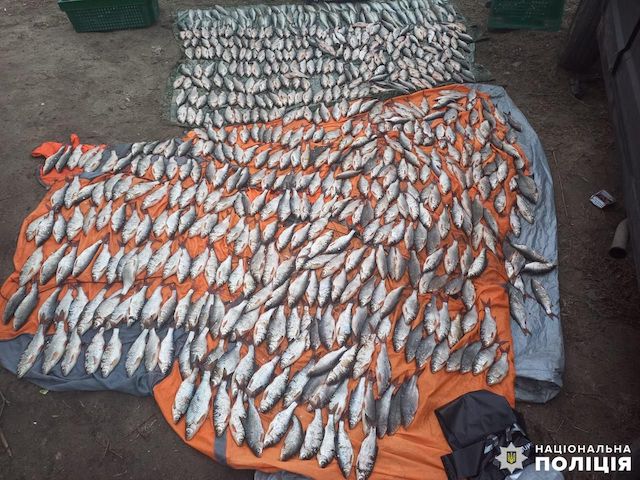 Свежие новости: У Миколаєві поліцейські викрили браконьєра