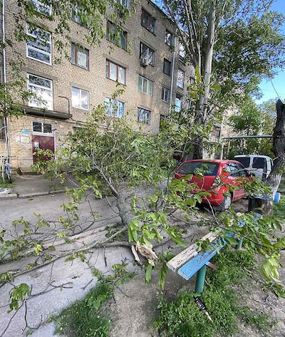 Свежие новости: В Николаеве большая ветка дерева упала на автомобиль